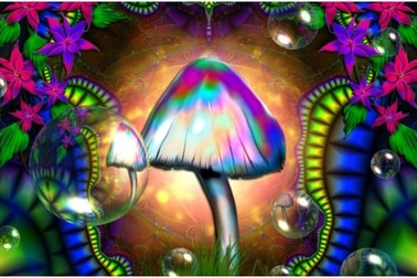 Công dụng bất ngờ của nấm “ảo giác” trong việc điều trị trầm cảm