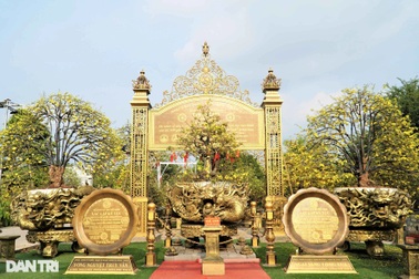 Chiêm ngưỡng hơn 200 cây mai vàng giá trị khủng, có tiền chưa chắc mua nổi