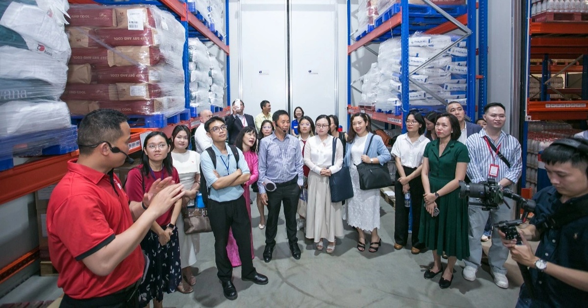 Mô hình giao hàng tập trung: Giải pháp mới cho chuỗi cung ứng tại Việt Nam