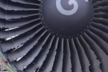 Động cơ máy bay hư hại nghiêm trọng sau khi va chạm với chim