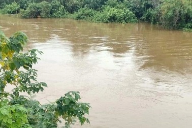 Mẹ bỏ con mới sinh vào thùng xốp rồi thả trôi sông