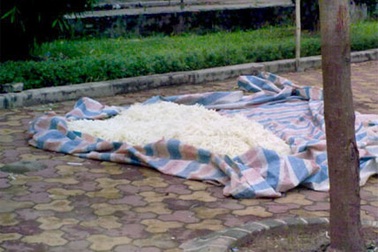 Thu giữ 2 tấn nhân bánh trung thu có nguồn gốc Trung Quốc 