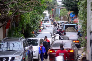 Hàng nghìn người “đổ” về chụp ảnh, vườn cúc họa mi “vỡ trận” vì tắc nghẽn