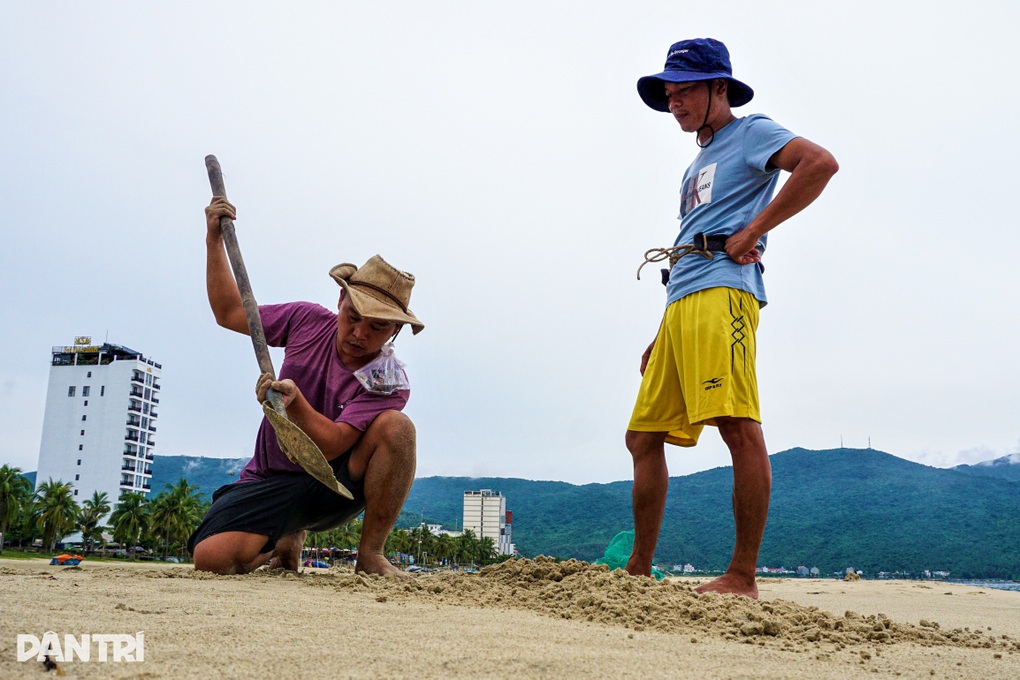 Theo ngư dân đi săn con chân dài lêu nghêu, chạy nhanh như gió - 1 Theo ngư dân đi săn con chân dài lêu nghêu, chạy nhanh như gió - 1