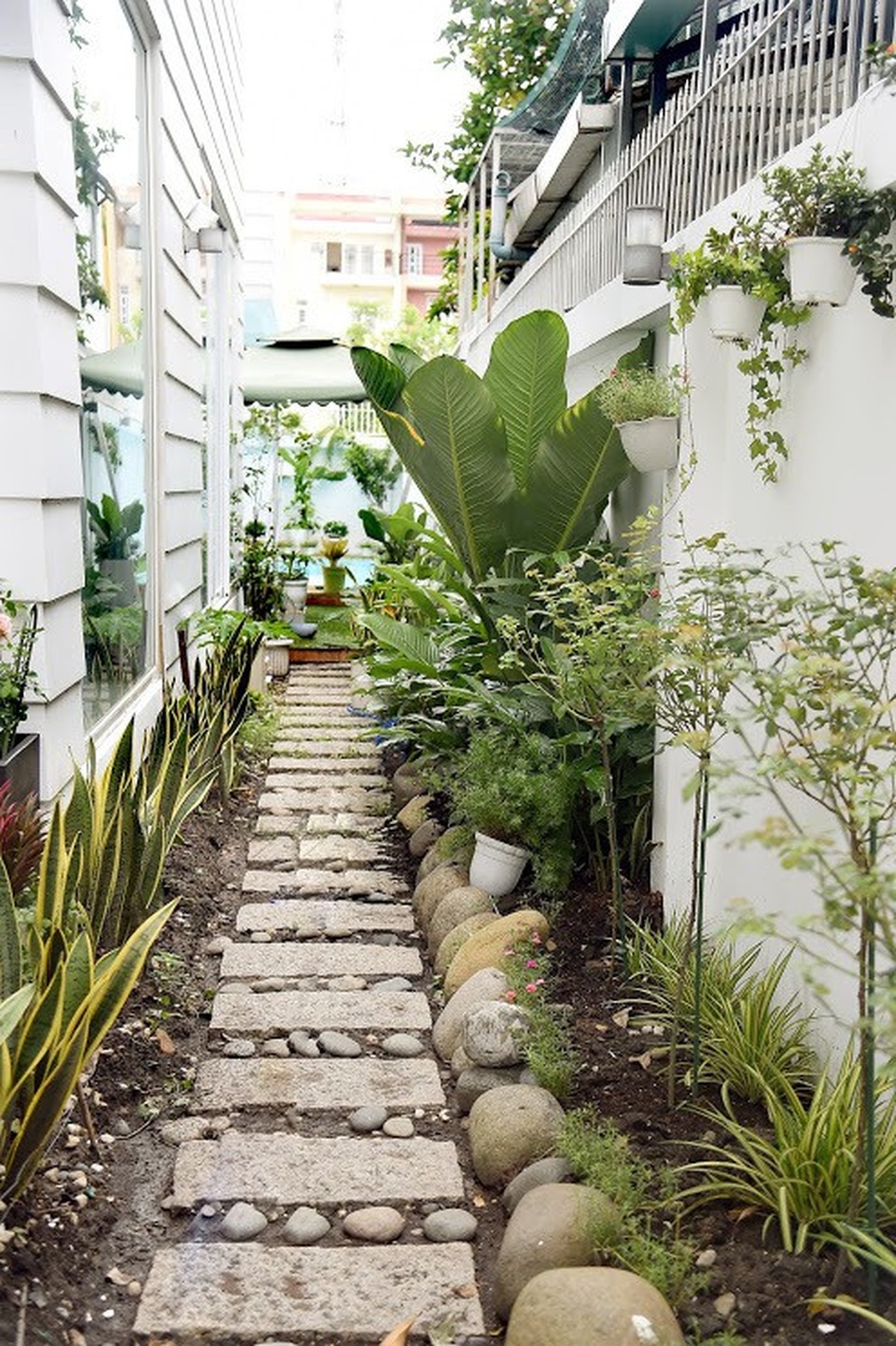 Nghỉ tránh dịch, Quyền Linh làm nông cùng vợ con trong biệt thự 500m2 - 8 Nghỉ tránh dịch, Quyền Linh làm nông cùng vợ con trong biệt thự 500m2 - 8