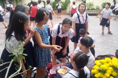 Tăng phí bảo hiểm y tế học sinh sinh viên, phụ huynh thêm “nặng gánh”