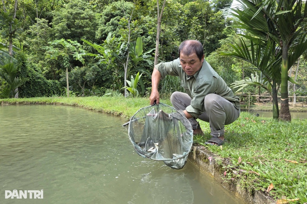 Lão nông chỉ học hết lớp 3, thành đại gia nhờ nhân giống loài cá đặc sản - 1 Lão nông chỉ học hết lớp 3, thành đại gia nhờ nhân giống loài cá đặc sản - 1