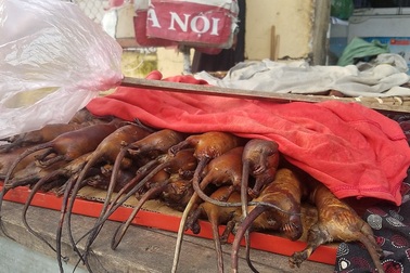 Kỳ lạ ngôi làng ở Hà Nội cả phụ nữ, trẻ em đều “nghiện” ăn thịt chuột