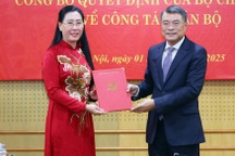 Bí thư Quảng Ngãi Bùi Thị Quỳnh Vân làm Phó trưởng Ban Tổ chức Trung ương