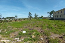 Hàng loạt cây xanh bị chặt, phụ huynh lo trường học nắng nóng