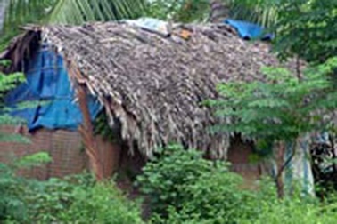 Những gia đình nhí ở ngoại thành TPHCM  