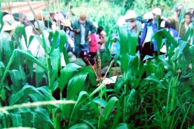 Ly kỳ vụ em trai tố anh giết bố