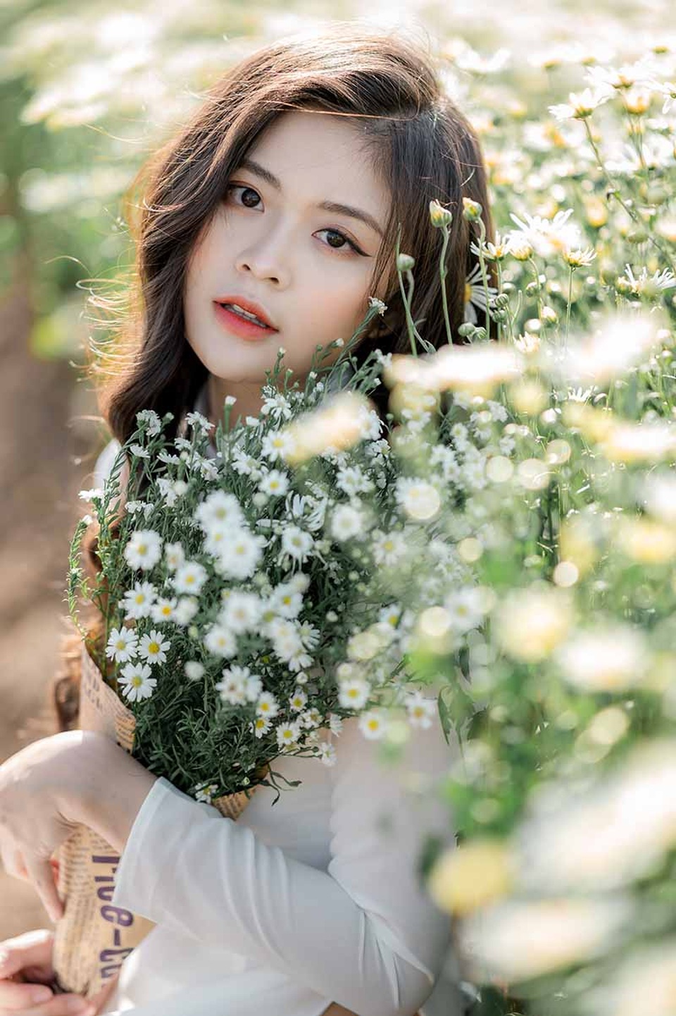 Cựu nữ sinh Ngoại thương đẹp dịu dàng bên cúc họa mi đầu mùa - 5 Cựu nữ sinh Ngoại thương đẹp dịu dàng bên cúc họa mi đầu mùa - 5