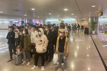 140 công dân Việt Nam về nước sau khi được giải cứu ở Philippines