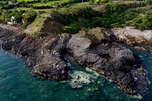 Khung cảnh thiên nhiên kỳ thú tại gành đá đĩa "độc nhất" Việt Nam