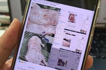 Động thái của Sóc Trăng về việc xử lý người tố Công ty C.P. bán heo bệnh