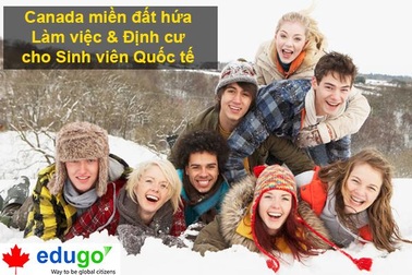 Du học Canada - Hướng đi nào khi chương trình CES thử nghiệm hết hạn