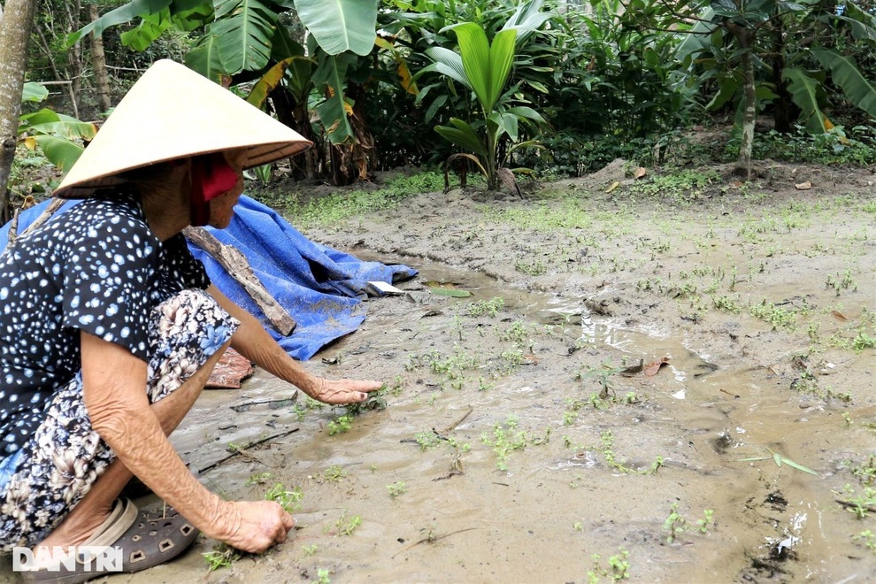 Người dân nơm nớp với bom nước nửa triệu mét khối treo lơ lửng trên đầu - 3 Người dân nơm nớp với bom nước nửa triệu mét khối treo lơ lửng trên đầu - 3