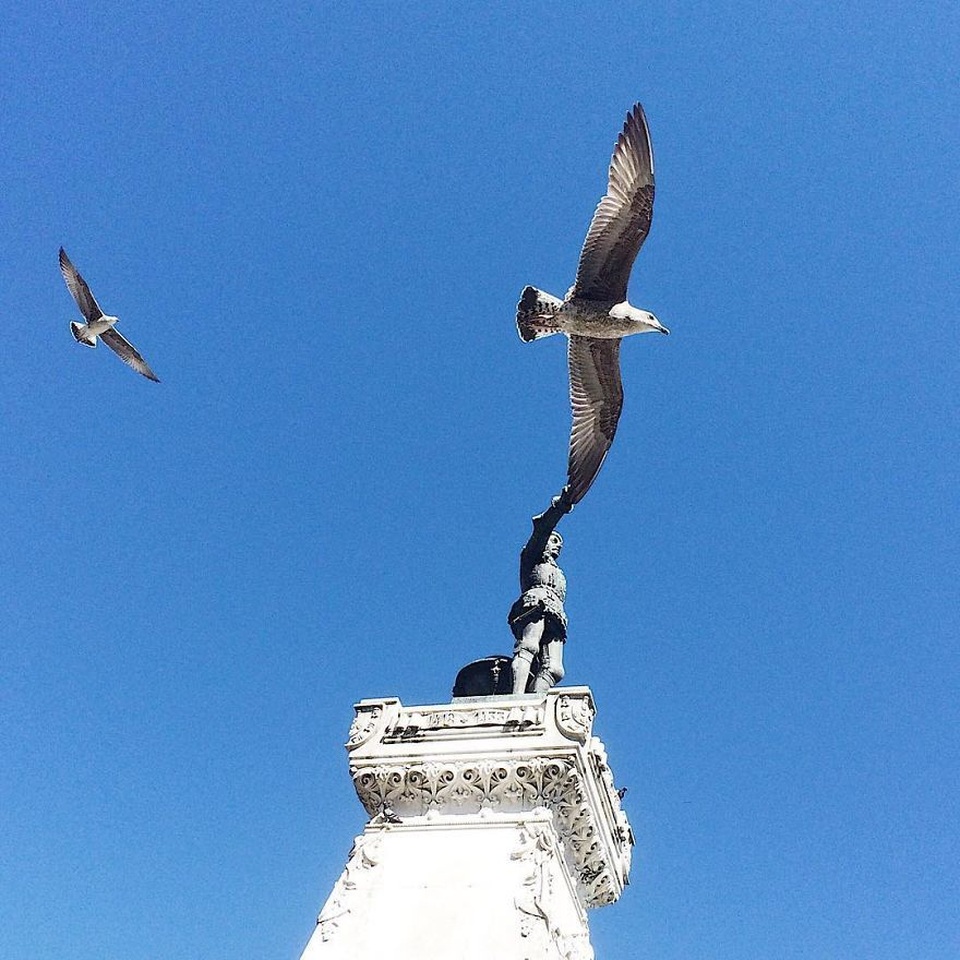 Những bức ảnh khiến người xem phải đau đầu - 7 Những bức ảnh khiến người xem phải đau đầu - 7