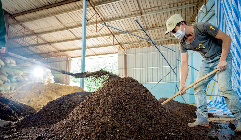 Doanh nghiệp biến vỏ đậu xanh thành trà, biến phế phẩm thành tiền - 3 Doanh nghiệp biến vỏ đậu xanh thành trà, biến phế phẩm thành tiền - 3