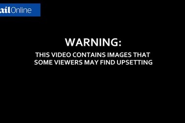 Clip “người phụ nữ rút súng bắn tên cướp có vũ trang ngay trên đường” khiến dân mạng tranh cãi