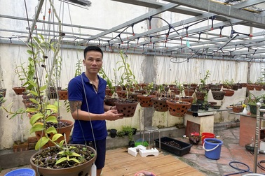 Nghệ nhân Phạm Tuấn Anh hướng dẫn kỹ thuật trồng và chăm sóc hoa lan