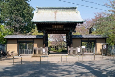 Bí ẩn trong ngôi đền 400 năm tuổi ở Nhật