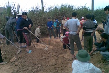 Tạm đình chỉ nhà máy sắn gây ô nhiễm môi trường