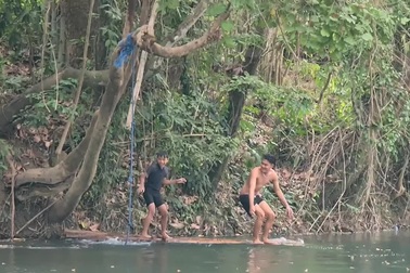 Giật mình khoảnh khắc rắn trên cây rơi xuống 2 đứa trẻ đang đứng chơi