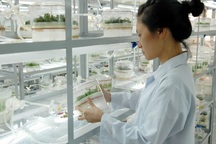 Chế độ tự chủ tài chính của tổ chức khoa học công nghệ công lập