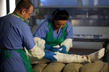 Người hiện đại đầu tiên được ướp xác giống pha-ra-ông