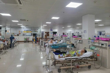 Hy hữu bệnh nhân sốc phản vệ độ II vì muỗi đốt