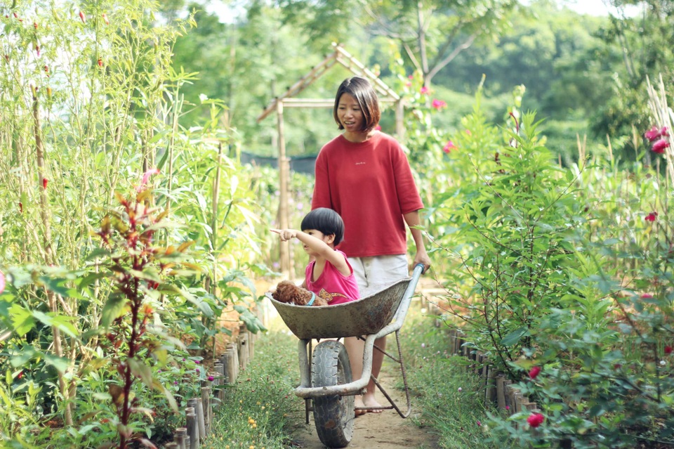 Làng quê yên bình qua ống kính của nữ thiết kế bỏ phố về quê bán cá - 2
