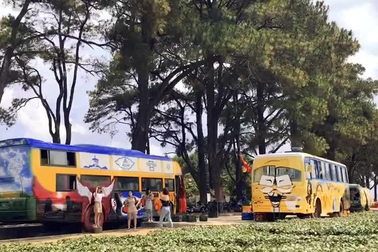 Độc đáo những quán cà phê làm bằng xe buýt dưới hàng thông trăm tuổi