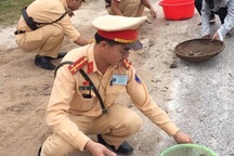 CSGT giúp người phụ nữ nhặt từng con tôm trên quốc lộ 1A