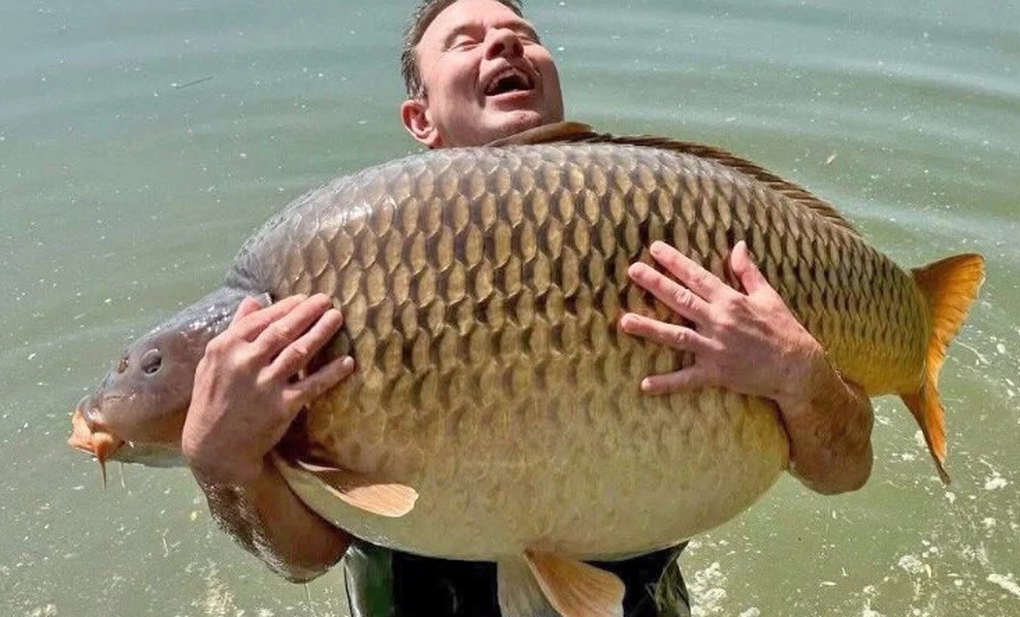 Đi chơi cùng bạn bè, người đàn ông câu được con cá gần 48kg - 1 Đi chơi cùng bạn bè, người đàn ông câu được con cá gần 48kg - 1