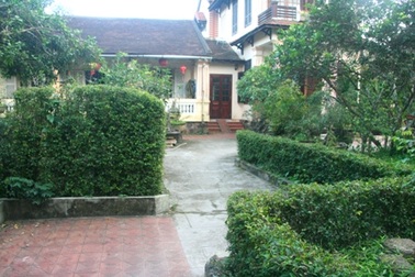 Hàng chè tàu trong nhà vườn Huế “mặc áo mới” đón Tết