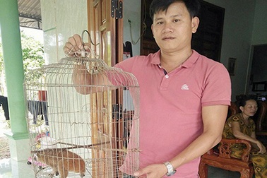 Quảng Bình: Người dân tự nguyện giao nộp linh trưởng quý hiếm