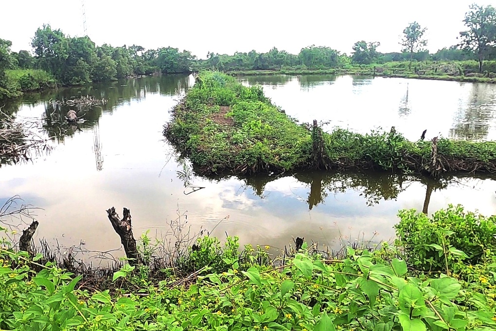 Hơn 6 năm không làm dự án, một công ty bị Cà Mau thu hồi 40.000m2 đất - 1 Hơn 6 năm không làm dự án, một công ty bị Cà Mau thu hồi 40.000m2 đất - 1