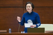 52 huyện và 1.037 xã trên cả nước sắp được sáp nhập