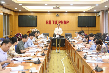 "Quân xanh, quân đỏ" trong các phiên đấu giá tài sản ngày càng tinh vi