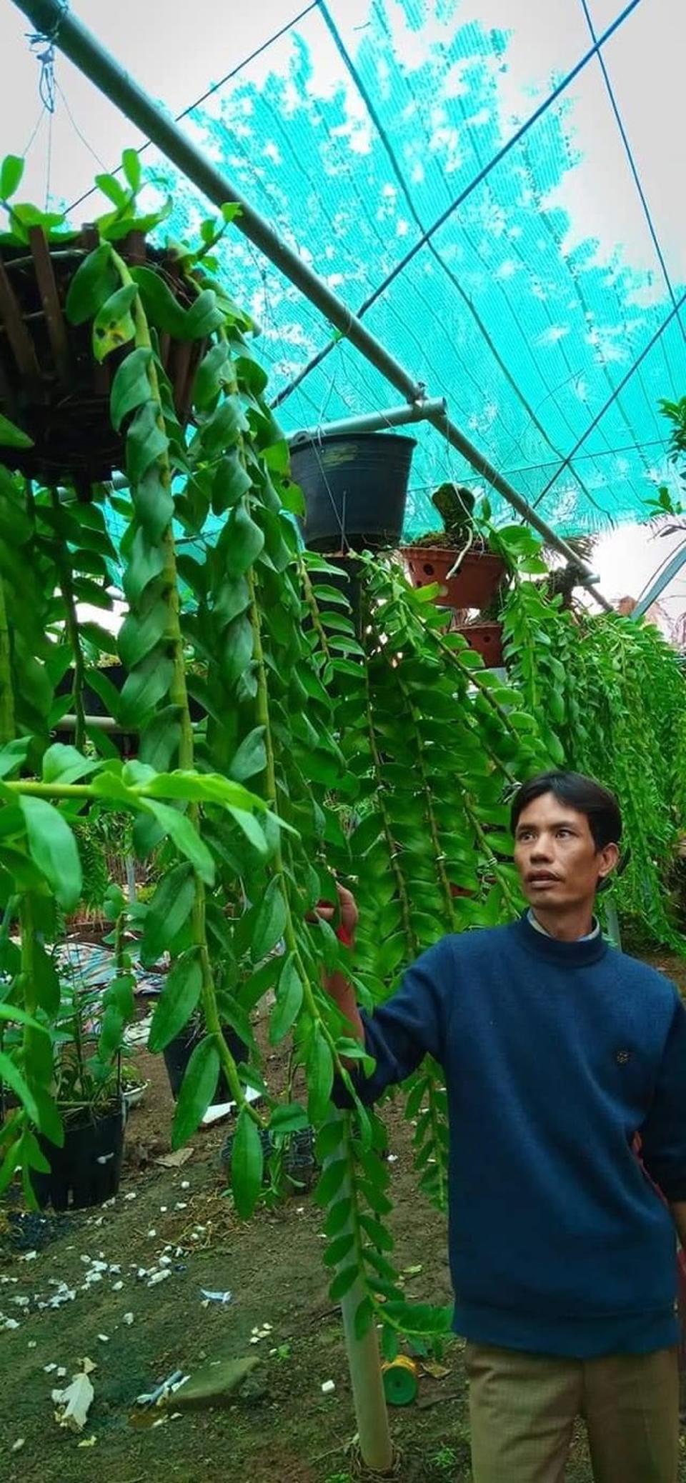 Nghệ nhân trồng lan Đỗ Văn Đạt chia sẻ cách chăm sóc cây con cho người mới bắt đầu - 1 Nghệ nhân trồng lan Đỗ Văn Đạt chia sẻ cách chăm sóc cây con cho người mới bắt đầu - 1