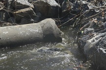 Doanh nghiệp nuôi tôm xả thải thẳng ra biển, cả vùng nước đổi màu đen