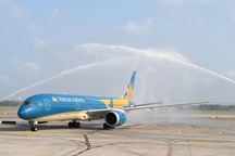 Vietnam Airlines khai trương nhà ga T3 với chuyến bay mang hình ảnh chim lạc