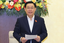 Chủ tịch Quốc hội: Cho ý kiến việc thu hồi đất làm dự án nhà ở thương mại