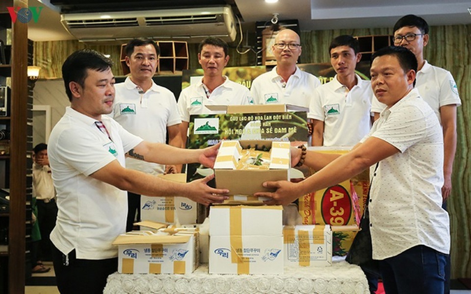 Bí quyết nhận diện lan đột biến tiền tỷ đang khuynh đảo thị trường - 1 Bí quyết nhận diện lan đột biến tiền tỷ đang khuynh đảo thị trường - 1