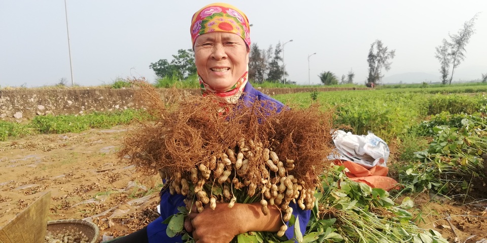 Hiệu quả việc ứng dụng khoa học công nghệ trong chế biến nông, hải sản - 2 Hiệu quả việc ứng dụng khoa học công nghệ trong chế biến nông, hải sản - 2