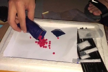 600 đối tượng phạm tội ma túy bị bắt trong 2 tháng