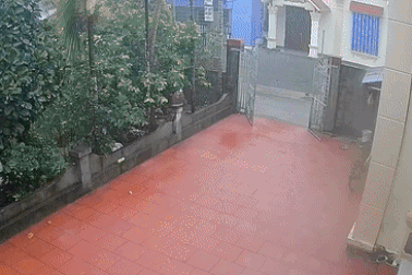 Chủ nhà ở Hải Phòng kể phút thót tim tia sét đánh tóe lửa xuống góc vườn