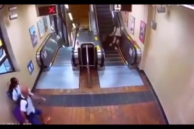 Heo rừng bất ngờ xông vào ga tàu điện ngầm, tấn công các hành khách